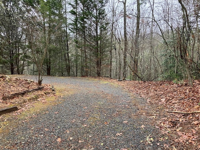 147 Holly Ridge Ln, Murphy, NC 28906 - view of street