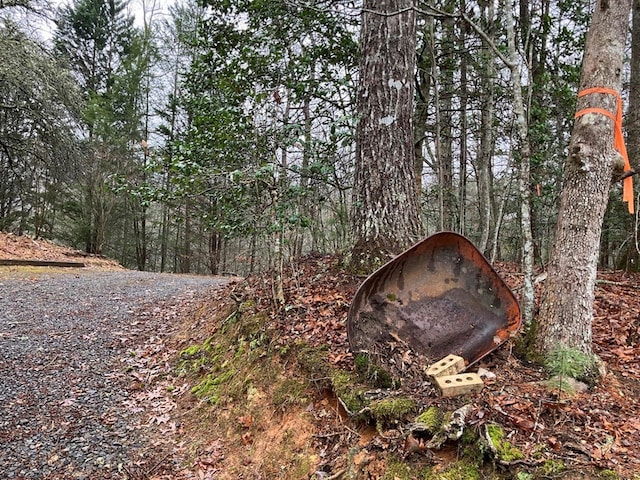 147 Holly Ridge Ln, Murphy, NC 28906 - view of local wilderness