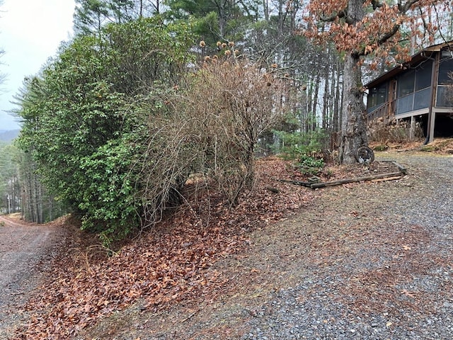 147 Holly Ridge Ln, Murphy, NC 28906 - view of street