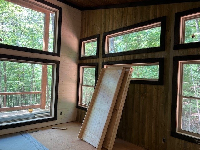 doorway to outside with wood walls and a healthy amount of sunlight