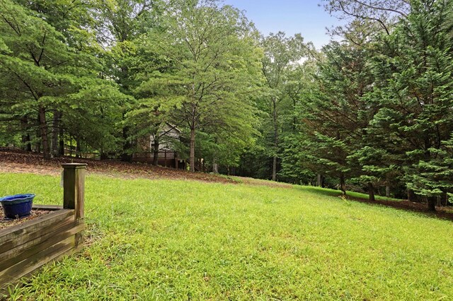 80 Stegall Mill Rdg, Ellijay, GA 30536 - view of green lawn