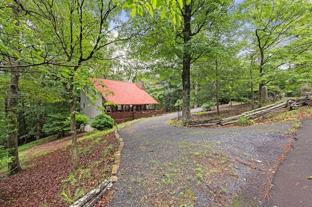 80 Stegall Mill Rdg, Ellijay, GA 30536 - view of yard featuring asphalt driveway