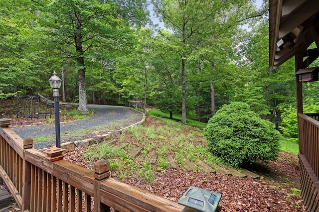 80 Stegall Mill Rdg, Ellijay, GA 30536 - view of yard