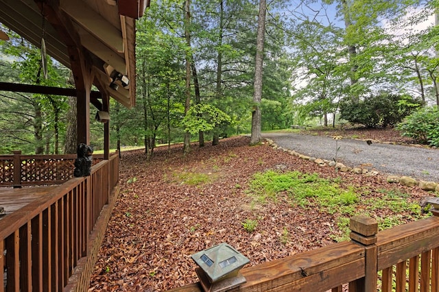80 Stegall Mill Rdg, Ellijay, GA 30536 - view of yard featuring view of wooded area