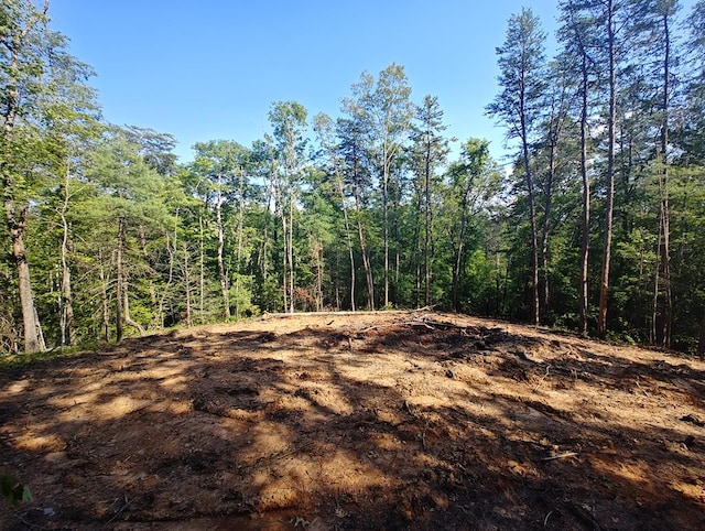 LOT5 Megan Trace Dr, Turtletown, TN 37391