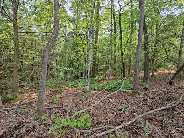 LOT5 Megan Trace Dr, Turtletown, TN 37391