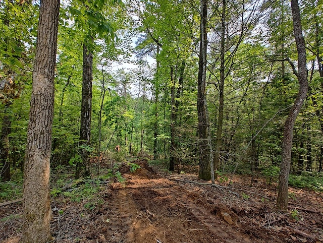 LOT5 Megan Trace Dr, Turtletown, TN 37391