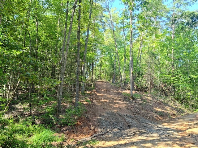 LOT5 Megan Trace Dr, Turtletown, TN 37391