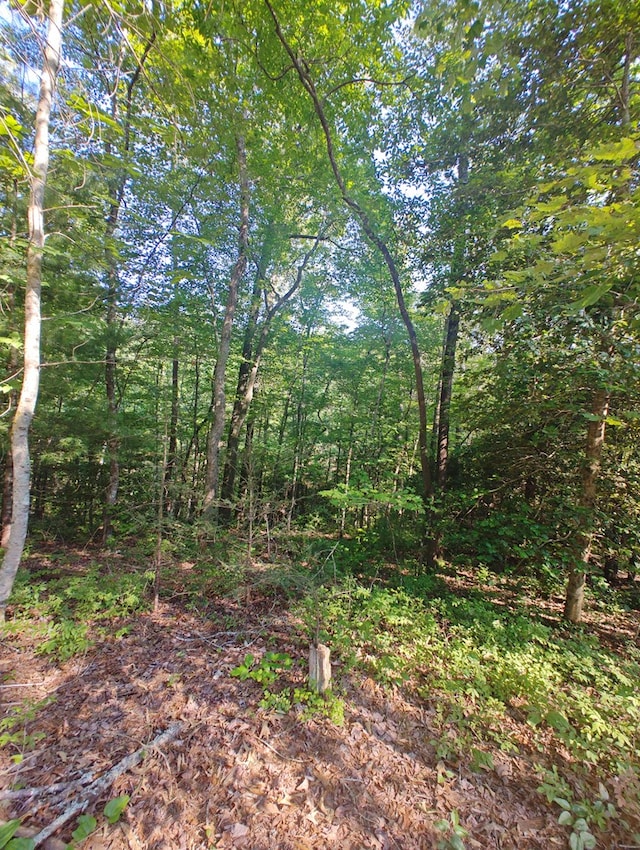 LOT5 Megan Trace Dr, Turtletown, TN 37391