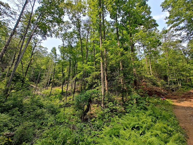 LOT5 Megan Trace Dr, Turtletown, TN 37391
