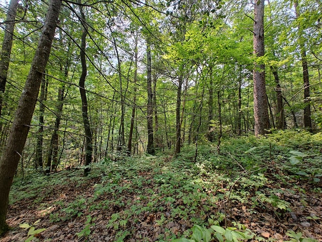 LOT5 Megan Trace Dr, Turtletown, TN 37391