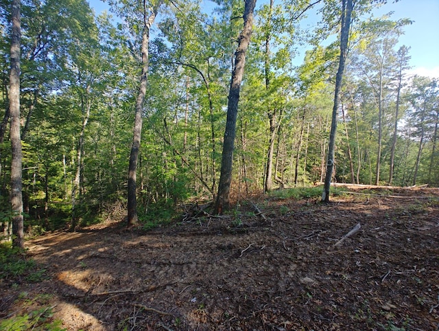 LOT5 Megan Trace Dr, Turtletown, TN 37391