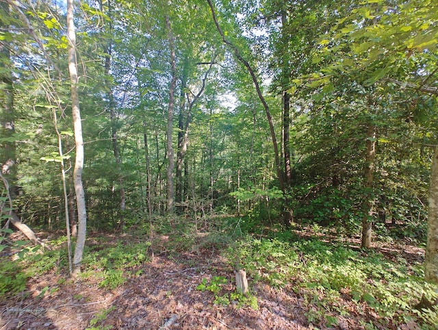 LOT5 Megan Trace Dr, Turtletown, TN 37391