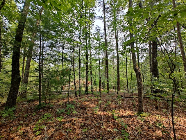 LOT5 Megan Trace Dr, Turtletown, TN 37391