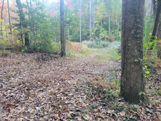 LOT12 Oscar Ct, Ellijay GA, 30540 land for sale