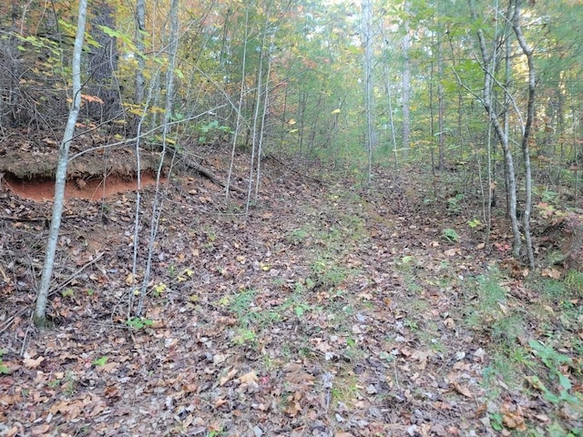 Listing photo 2 for LOT12 Oscar Ct, Ellijay GA 30540