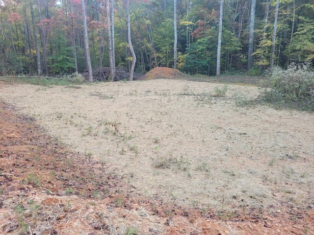 Listing photo 3 for LOT12 Oscar Ct, Ellijay GA 30540