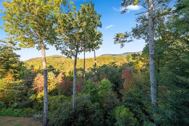 view of nature featuring a mountain view