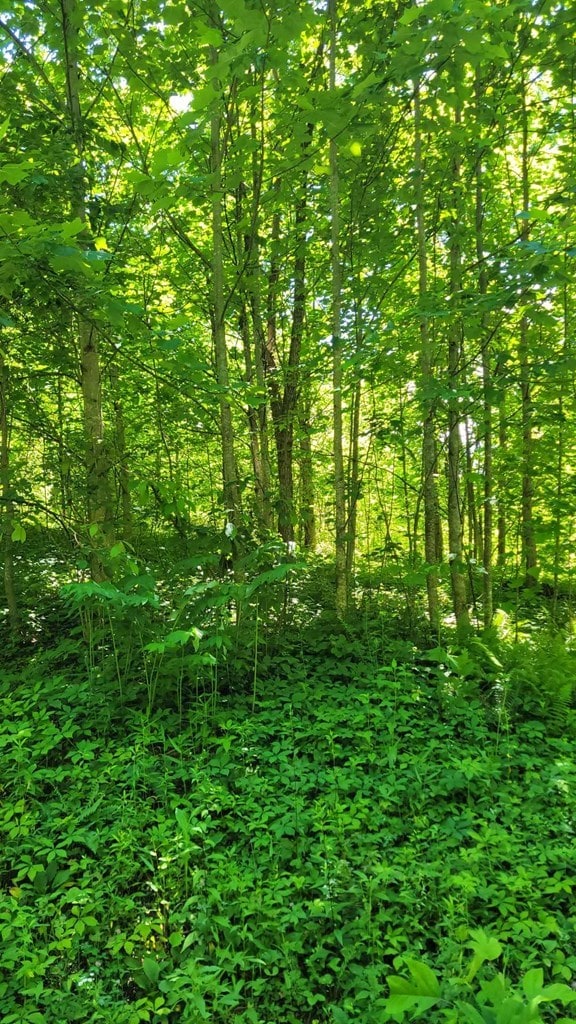 LOT1 Hickory Rdg, Hayesville, NC 28904