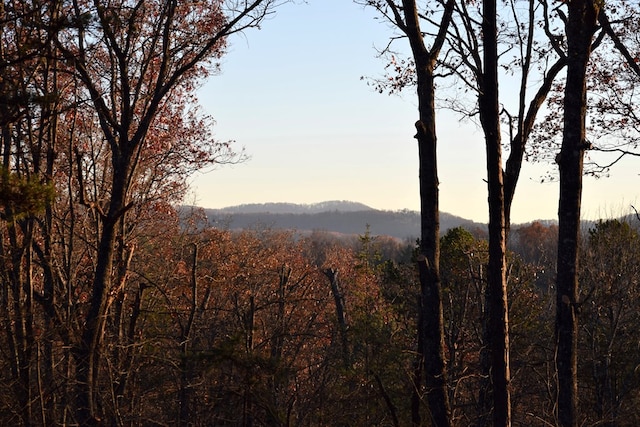 property view of mountains