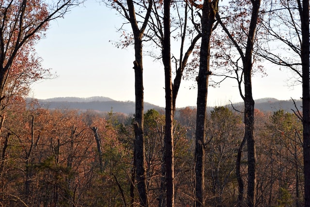 property view of mountains