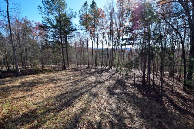 view of local wilderness