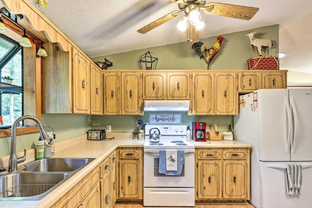 34 Clover Ln, Murphy, NC 28906 - kitchen with white appliances, under cabinet range hood, ceiling fan, vaulted ceiling, and a textured ceiling