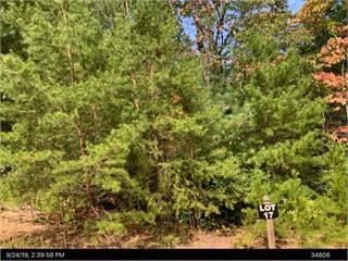 Listing photo 3 for LOT17 Frances Dr, Ellijay GA 30536