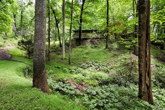 249 Chatuge Woods Dr, Hayesville, NC 28904 - view of woods