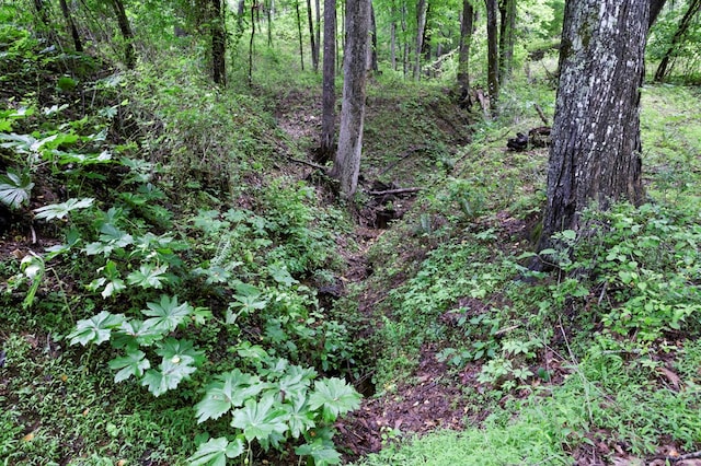 249 Chatuge Woods Dr, Hayesville, NC 28904 - view of wooded area