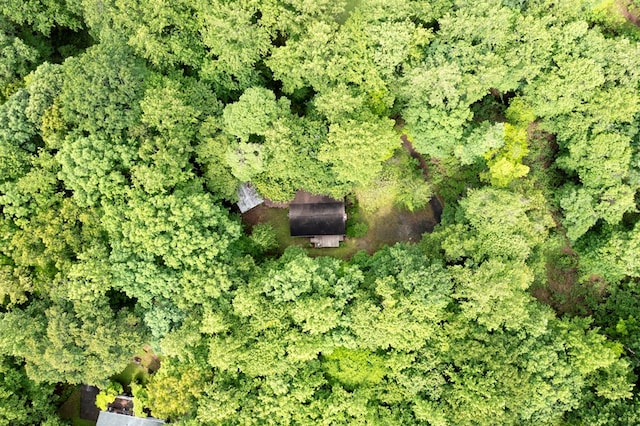 249 Chatuge Woods Dr, Hayesville, NC 28904 - aerial view of property's location featuring a forest
