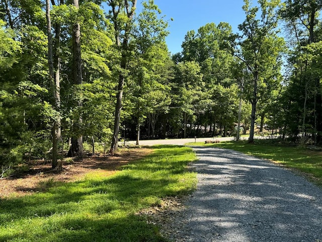 view of road