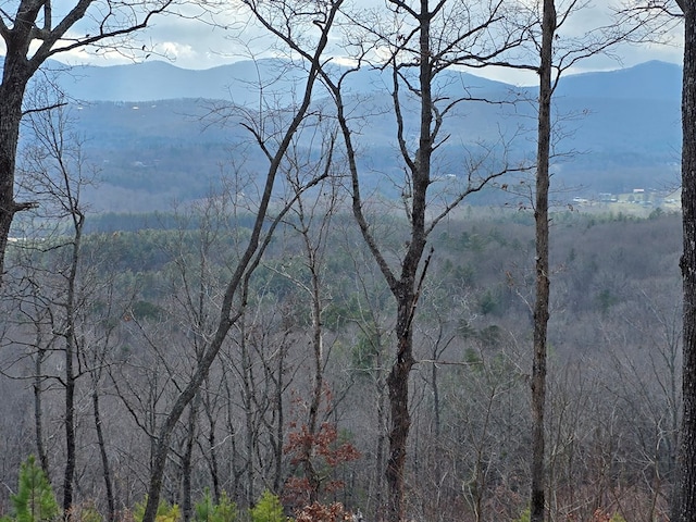 Listing photo 2 for 00 Highland Park, Blairsville GA 30512