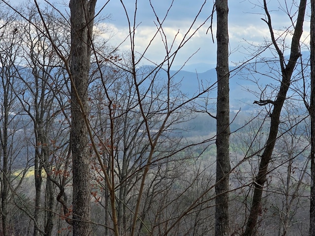 Listing photo 3 for LOT112 Highland Park, Blairsville GA 30512