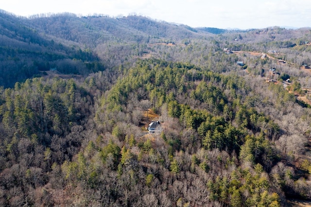 drone / aerial view with a mountain view