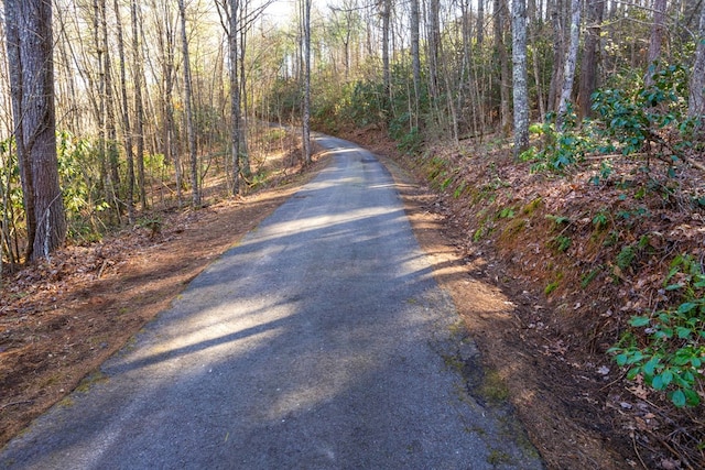 view of road