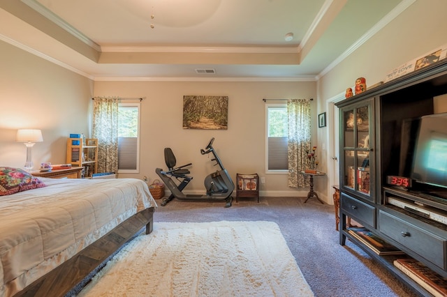 56 Highland Pointe Dr, Ellijay, GA 30536 - carpeted bedroom with a raised ceiling, multiple windows, and crown molding
