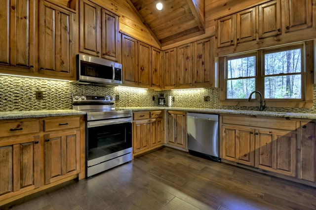 kitchen featuring lofted ceiling, dark wood-style flooring, backsplash, a sink, and appliances with stainless steel finishes