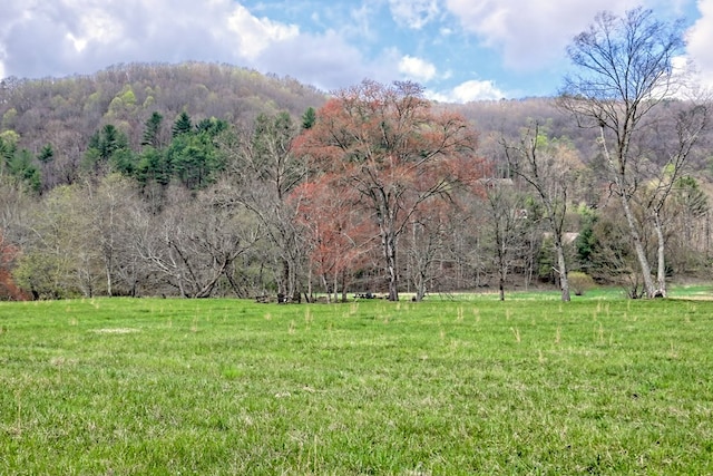 view of yard featuring a view of trees