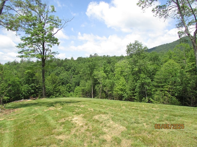 12 Shelton Springs S/D, Hayesville, NC 28904 - view of green lawn featuring a view of trees