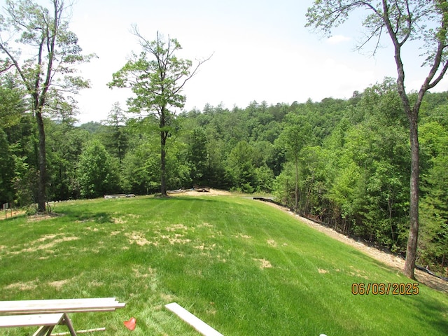 12 Shelton Springs S/D, Hayesville, NC 28904 - view of grassy yard with a view of trees
