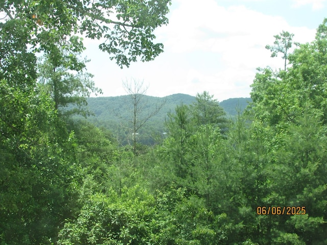 12 Shelton Springs S/D, Hayesville, NC 28904 - view of mountain background with a forest