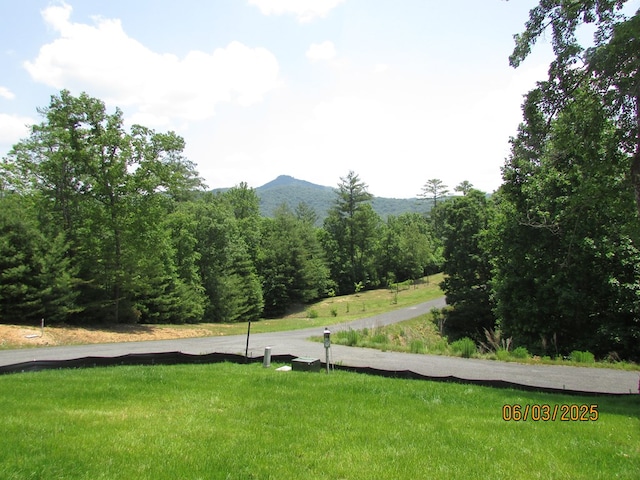 12 Shelton Springs S/D, Hayesville, NC 28904 - surrounding community with a mountain view and a yard