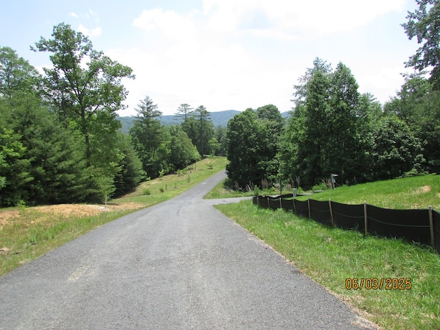 12 Shelton Springs S/D, Hayesville, NC 28904 - view of asphalt road