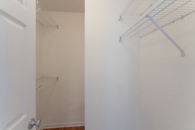 spacious closet featuring wood finished floors