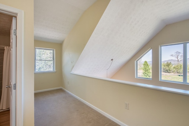 additional living space with baseboards, carpet, lofted ceiling, and a textured ceiling