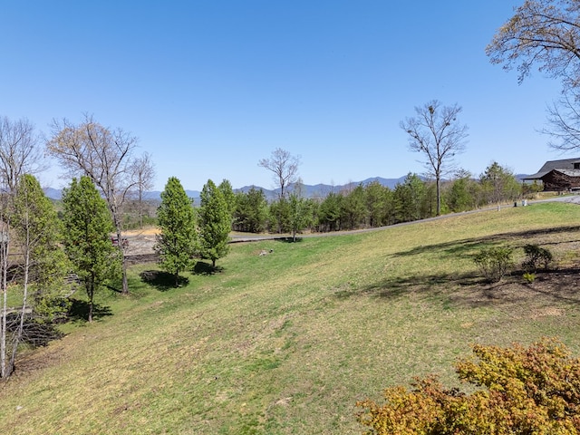 view of yard with a rural view and a mountain view