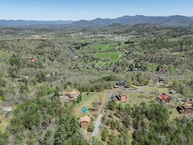 birds eye view of property featuring a mountain view