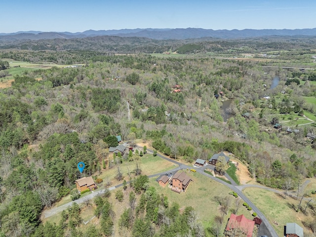 bird's eye view with a view of trees and a mountain view