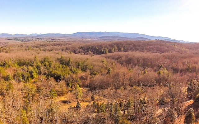 view of mountain feature